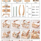 bcb77a80cce63e805f1f1f6618ae76b7